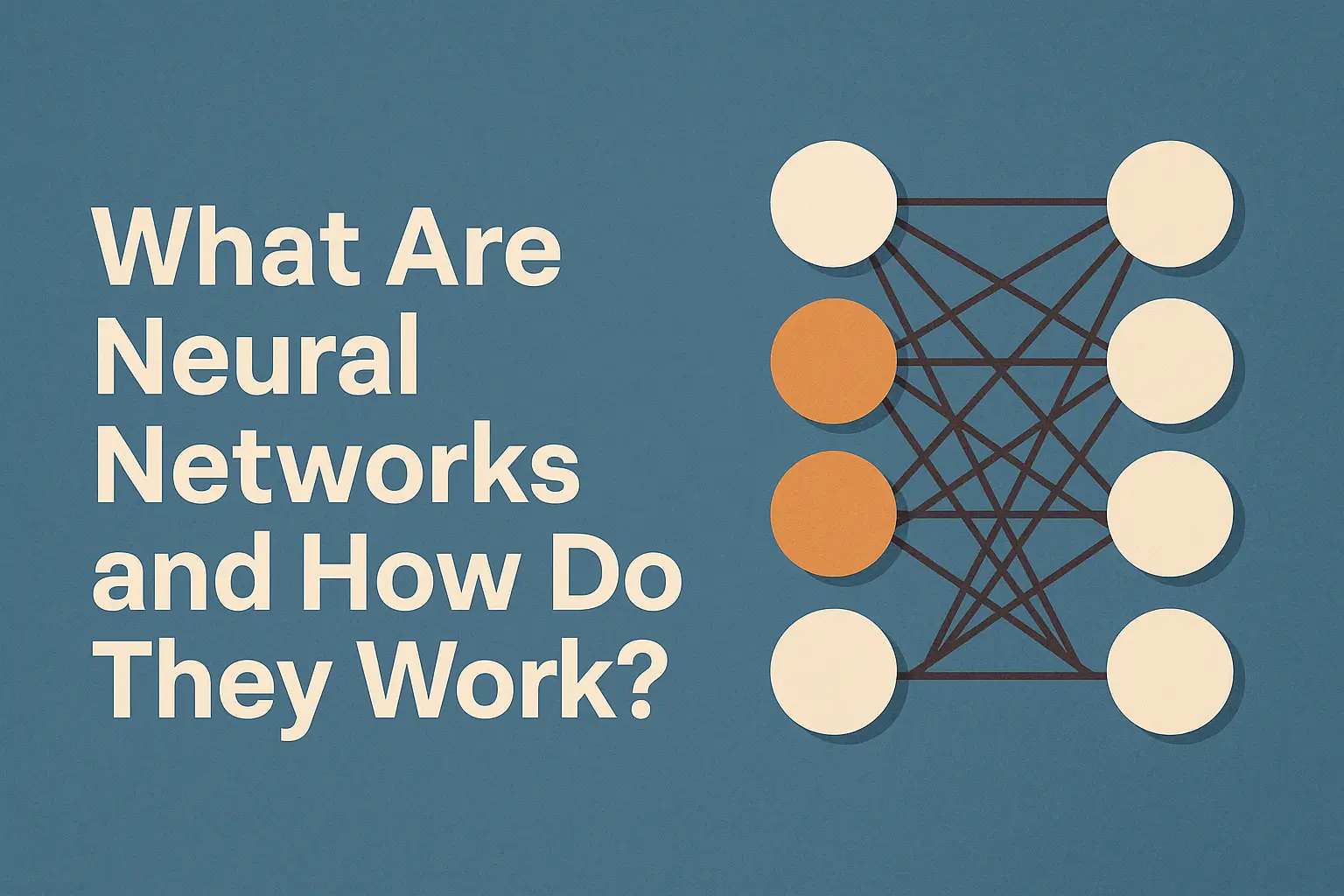 What Are Neural Networks and How Do They Work